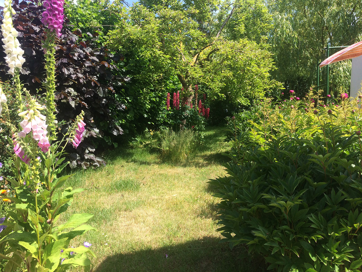 ferienhaus-am-salzhaff-landgang-garten-01