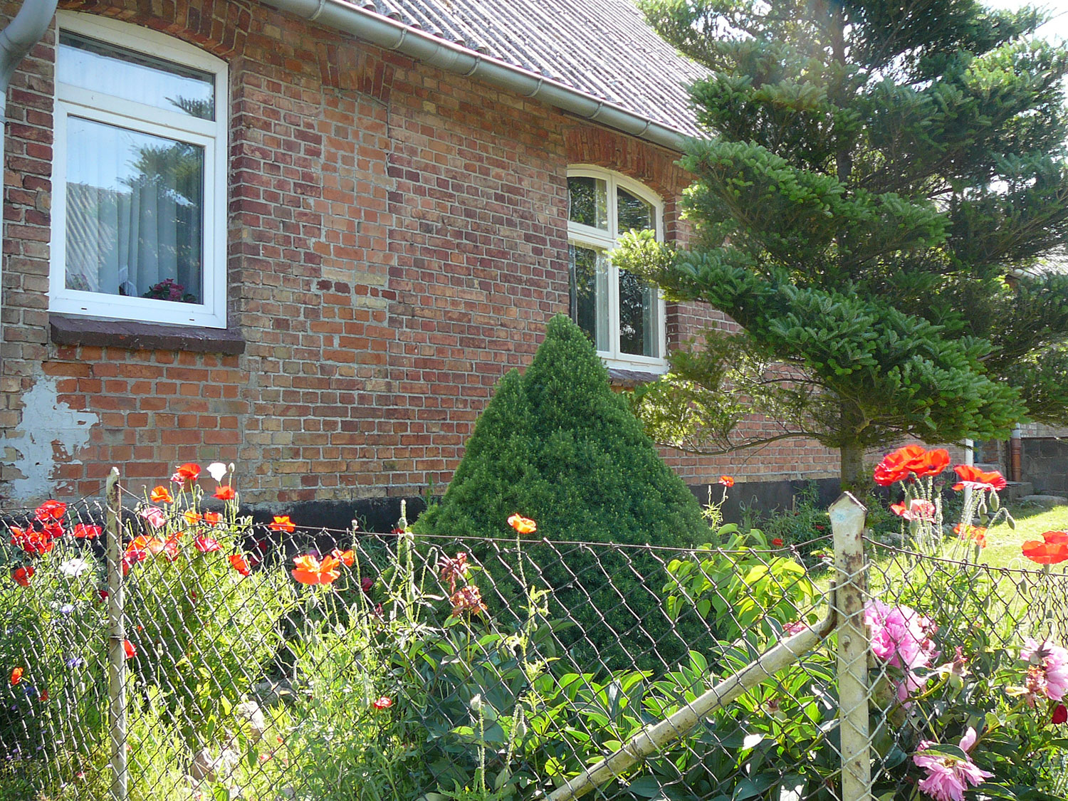 ferienhaus-am-salzhaff-seegang-aussen-02