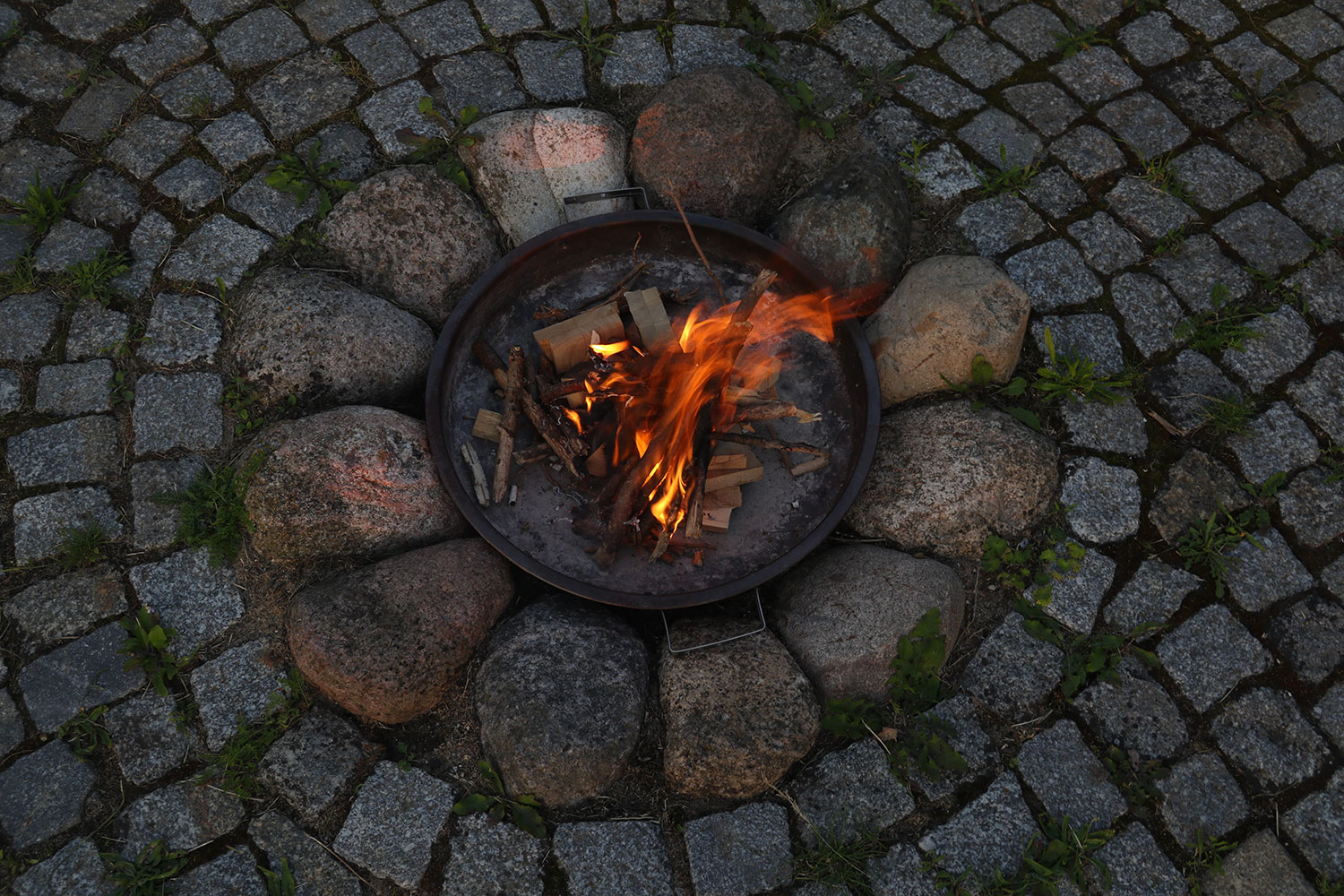 ferienhaus-am-salzhaff-seegang-garten-03