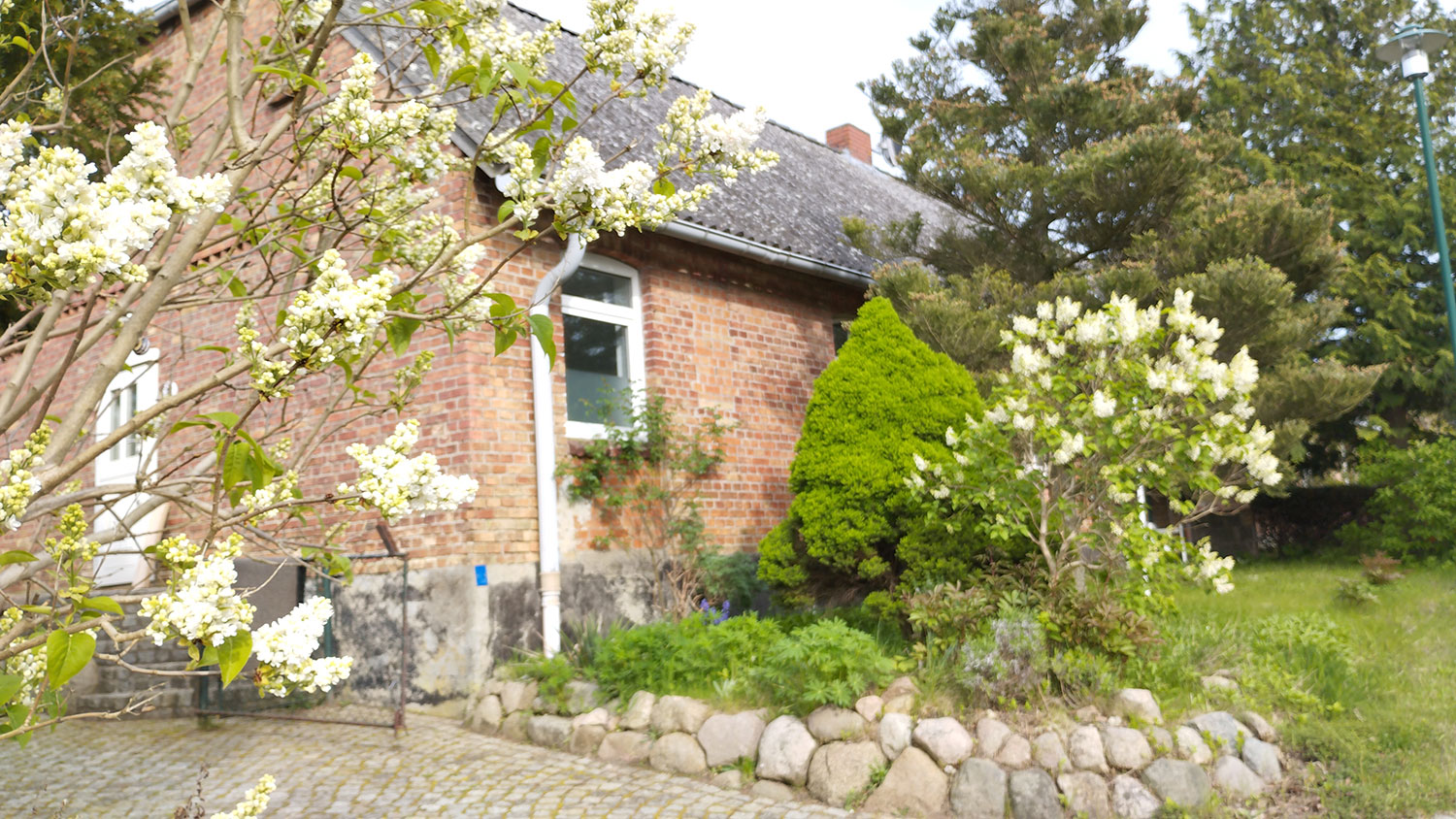 ferienhaus-am-salzhaff-seegang-garten-04