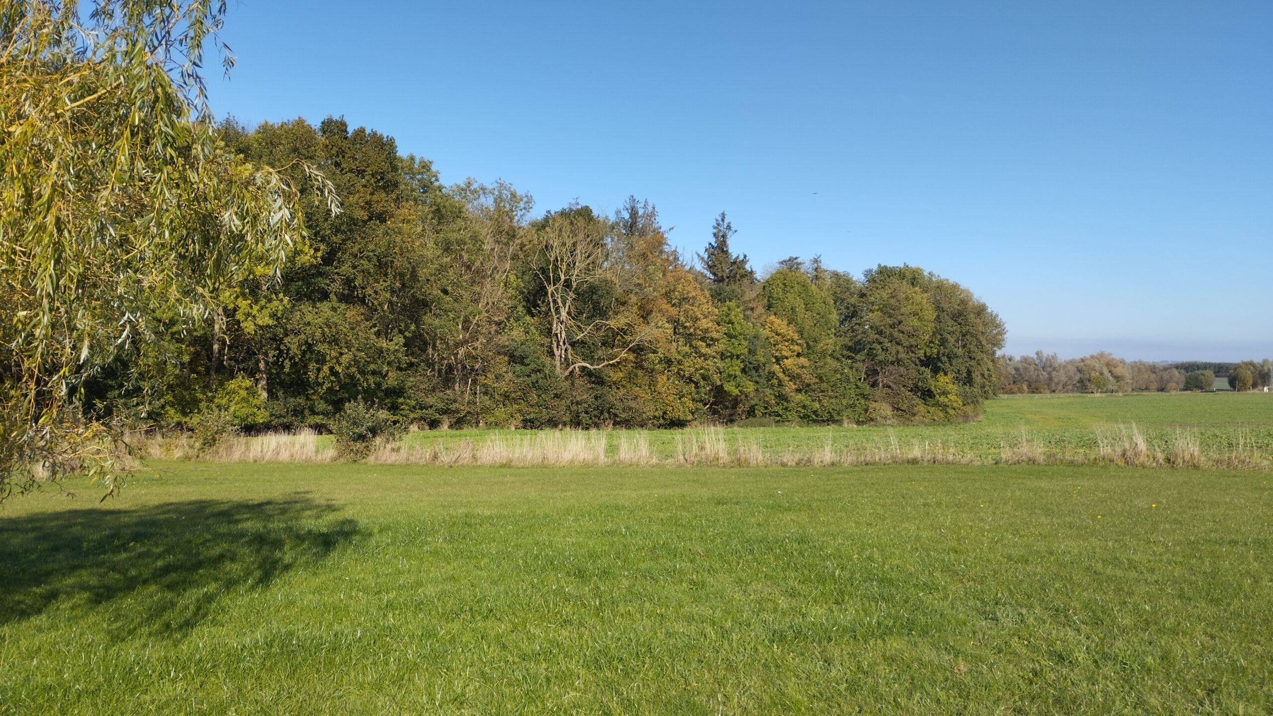 Wiese1-im-Garten-Ferienhaus-Ostsee Wiese1-im-Garten-Ferienhaus-Ostsee
